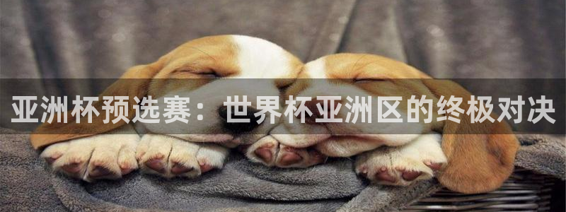 世界杯时间：亚洲杯预选赛：世界杯亚洲区的终极对决
