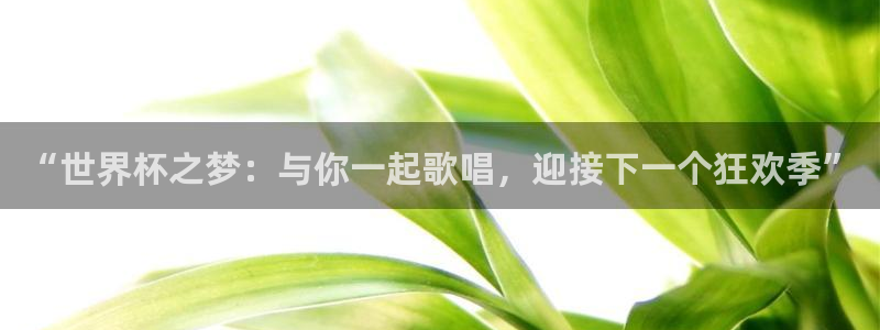 2026世界杯小组赛赛程时间表：“世界杯之梦：与你一起歌唱，迎接下一个狂欢季”