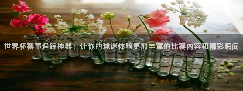 足球世界杯：世界杯赛事追踪神器：让你的球迷体验更加丰富的比赛内容和精彩瞬间