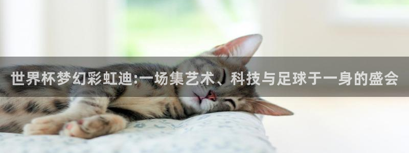 足球世界杯时间：世界杯梦幻彩虹迪:一场集艺术、科技与足球于一身的盛会
