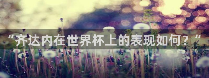 世界杯 赛程：“齐达内在世界杯上的表现如何？”