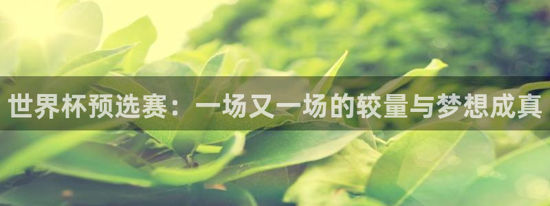 世界杯比赛赛程：世界杯预选赛：一场又一场的较量与梦想成真