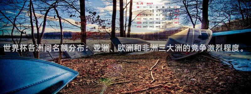 世界杯球赛：世界杯各洲间名额分布：亚洲、欧洲和非洲三大洲的竞争激烈程度。