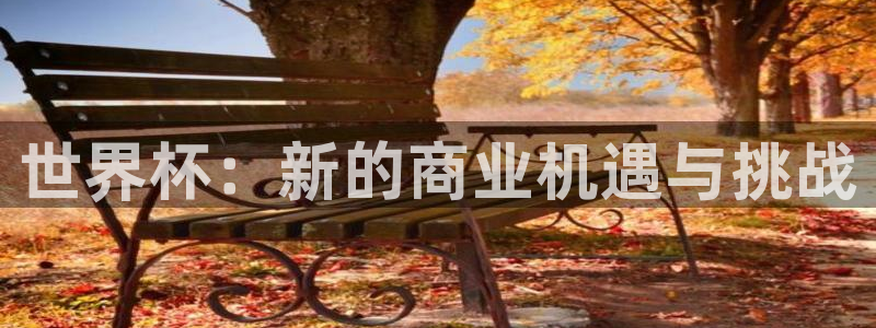 世界杯预选赛2026：世界杯：新的商业机遇与挑战