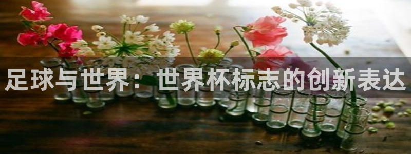 2026年世界杯对阵图：足球与世界：世界杯标志的创新表达